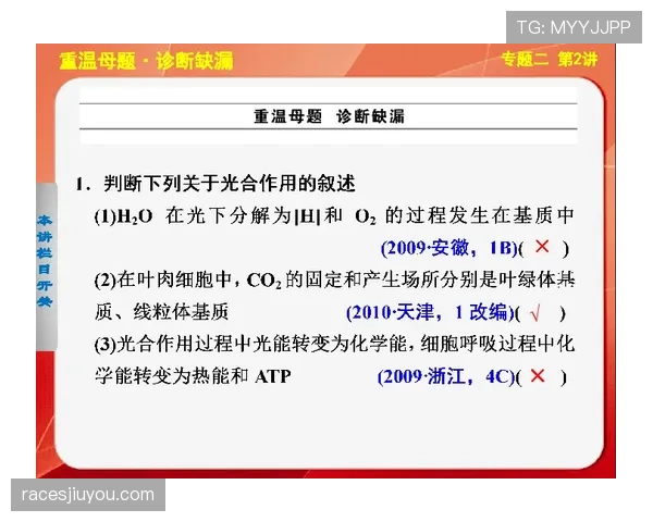 技术犯规罚则解析：从吹罚到执行的具体流程